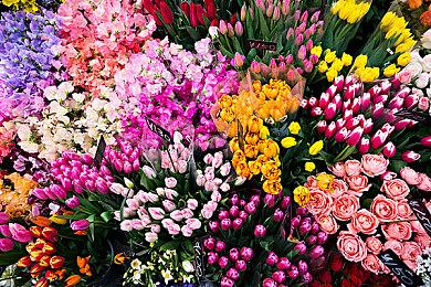 腾讯吃鸡游戏《无限法则》今日正式停服 支撑了1899天