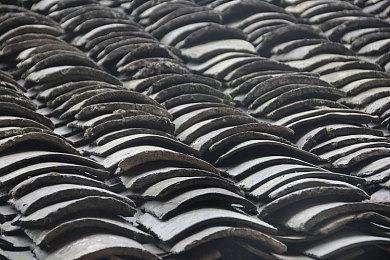 Steam新一周销量榜 《翼星求生》登顶